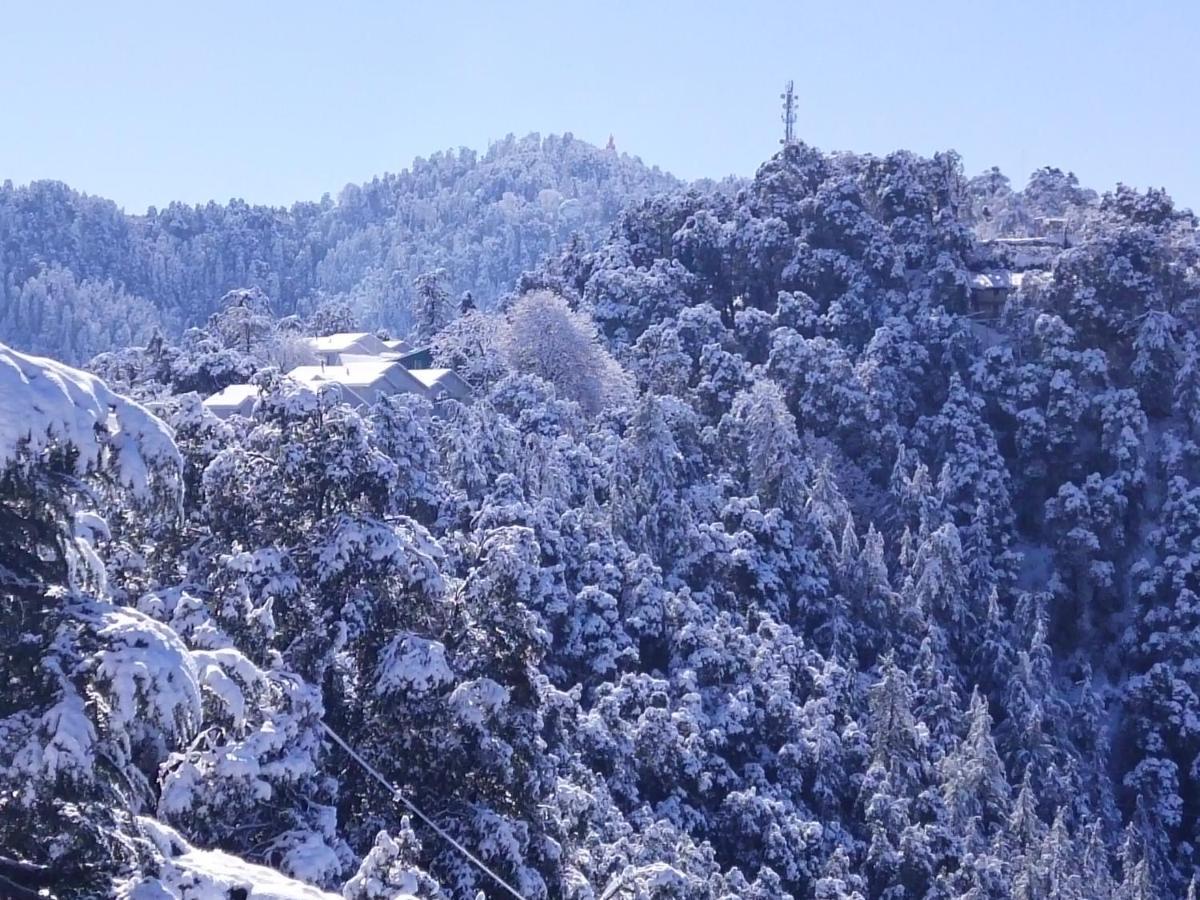 Dhanlaxmi Apartments Shimla Exterior foto